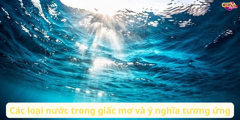 mo thay nuoc 1